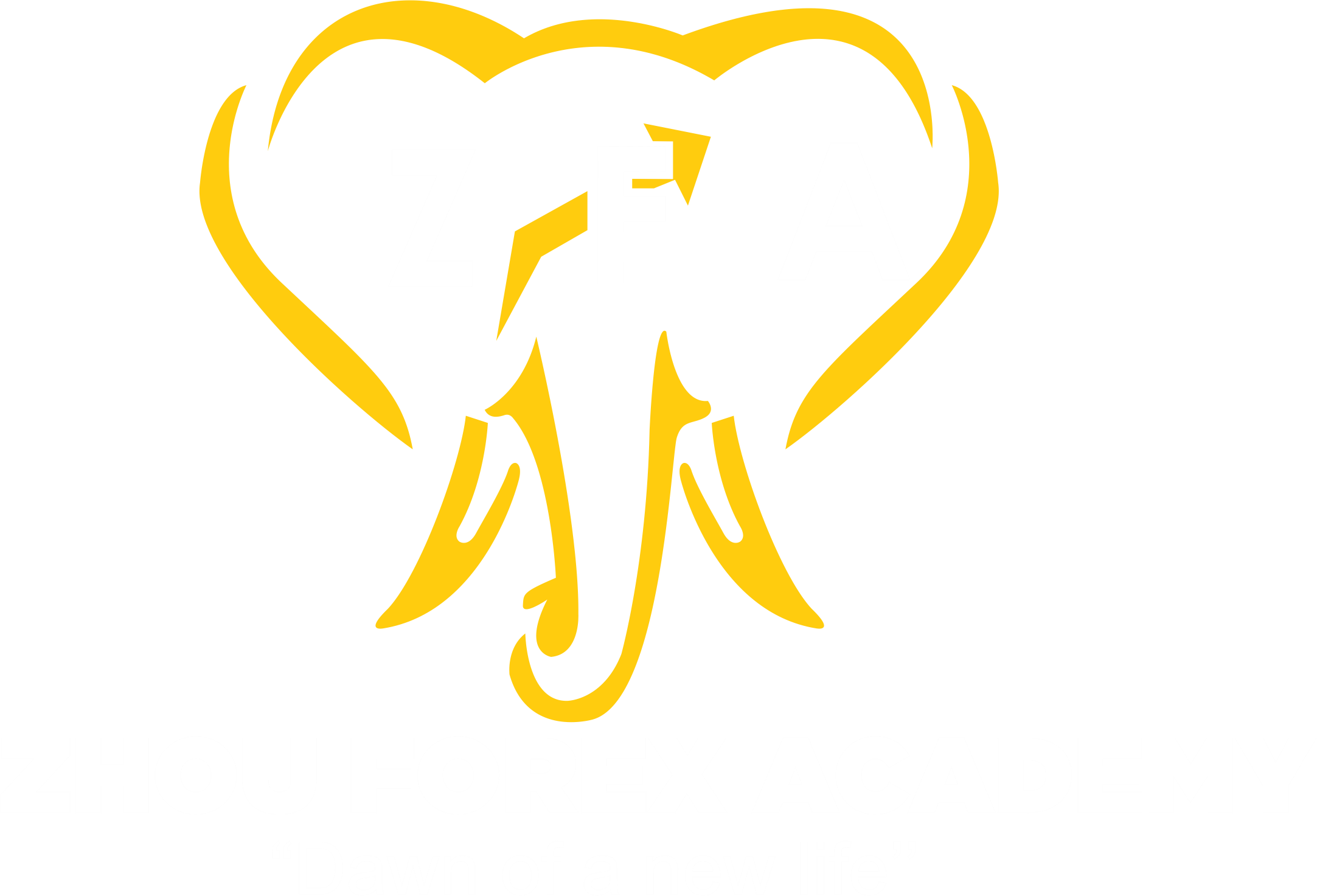 Zhou Forex Academy